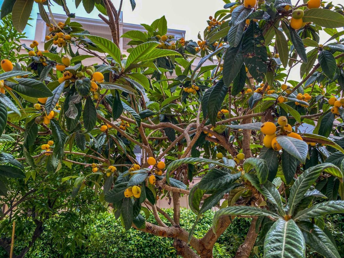 Al Giardino Del Nespolo Apartment Polignano a Mare Luaran gambar